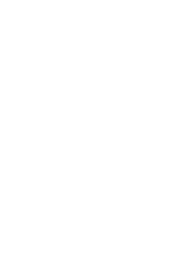 icon_inst
